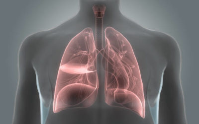 HOME CARE INSTRUCTIONS FOR PEOPLE WITH RESPIRATORY ILLNESS